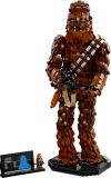 75371